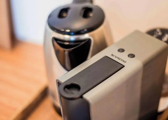 La Maison Des Arts 翁弗勒尔